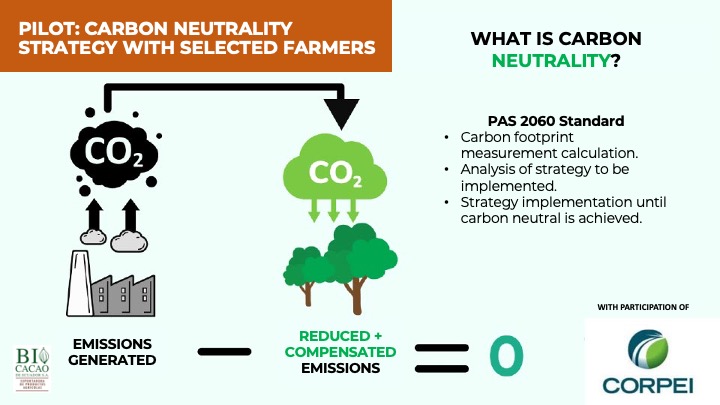 carbon neutral en 01